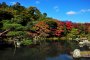 Supreme Garden of Tenryuji, Kyoto